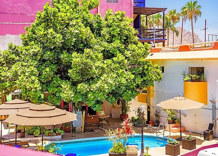 Capital O Dos Mares, Cabo San Lucas