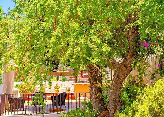 Capital O Dos Mares, Hotel 4*